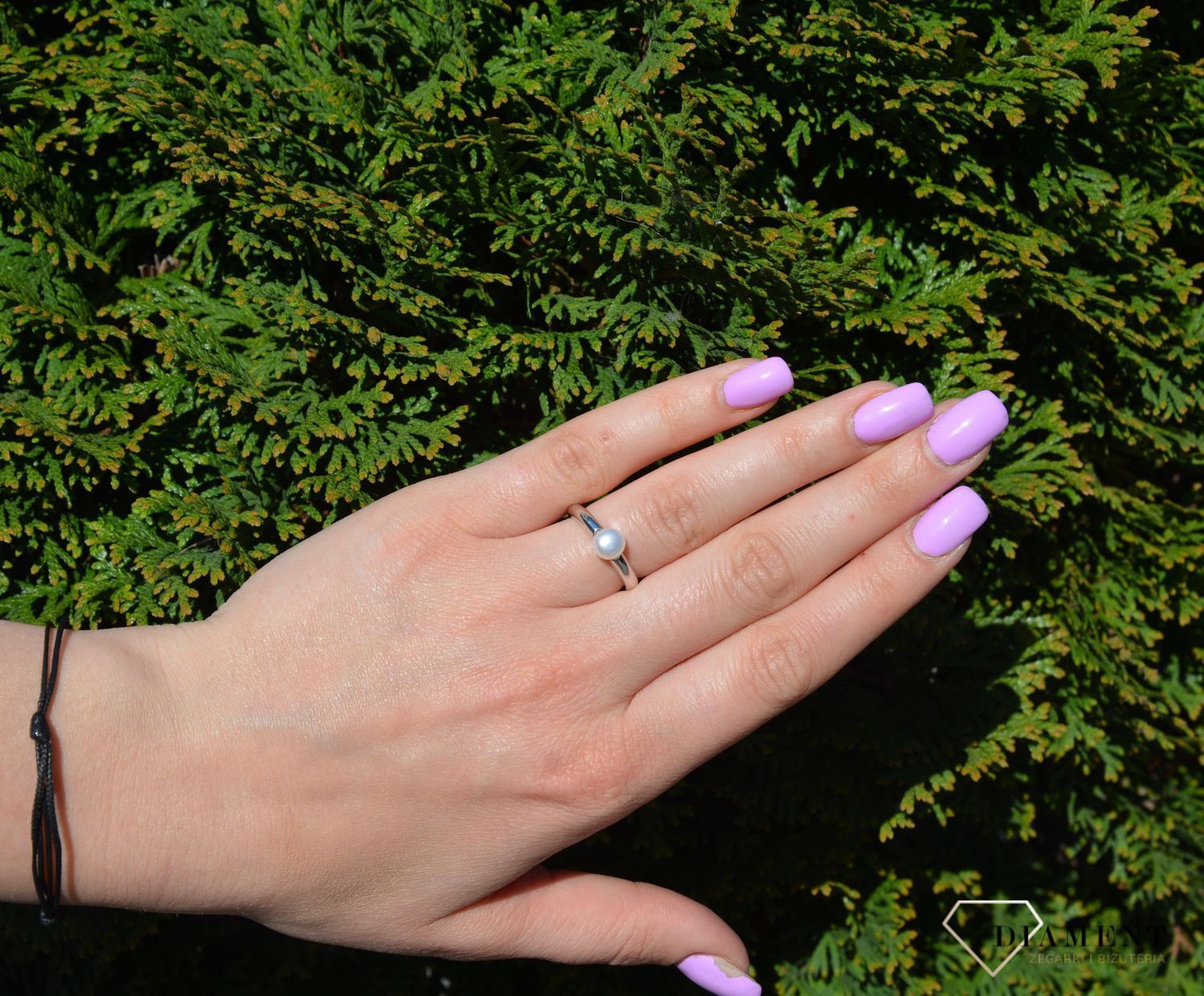 PRS 000000 354 925.jpg